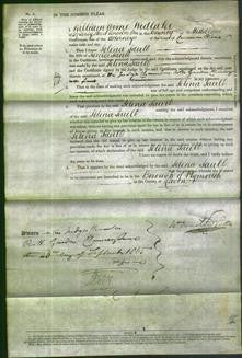 Court of Common Pleas - Selina Saull