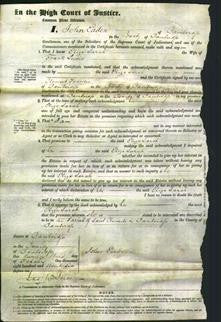 Court of Common Pleas - Eliza Sarah Lewis-Original Ancestry