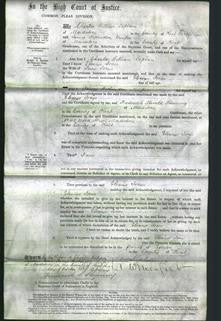 Court of Common Pleas - Eleanor Jones-Original Ancestry