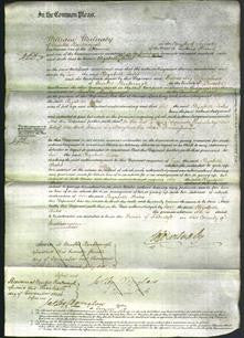 Court of Common Pleas - Elizabeth Bates-Original Ancestry