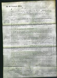 Court of Common Pleas - Emma Hill-Original Ancestry