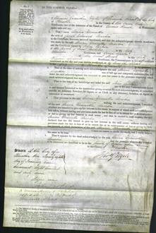 Court of Common Pleas - Maria Henrietta Martin-Original Ancestry