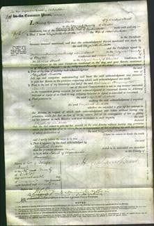 Court of Common Pleas - Elizabeth Ricketts-Original Ancestry