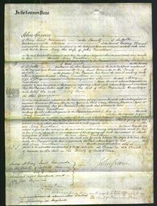 Court of Common Pleas - Mary Trevethan-Original Ancestry