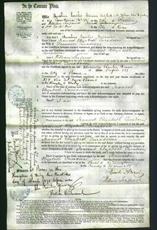 Court of Common Pleas - Jeannot Elizabeth Curadossi-Original Ancestry