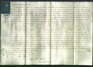Court of Common Pleas - Sarah Fussell and Caroline Nelson-Original Ancestry