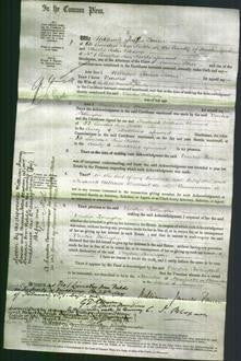 Court of Common Pleas - Venetia Pollington-Original Ancestry