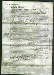 Court of Common Pleas - Ann Flavell-Original Ancestry