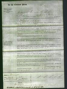 Court of Common Pleas - Lydia Coulson-Original Ancestry