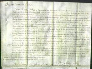 Court of Common Pleas - Ann Lake-Original Ancestry