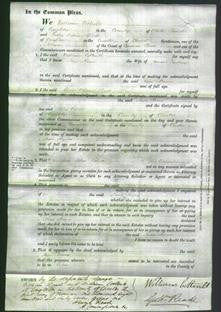 Court of Common Pleas - Anna Maria Harthurn-Original Ancestry