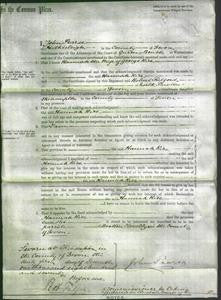 Court of Common Pleas - Hannah Rice-Original Ancestry