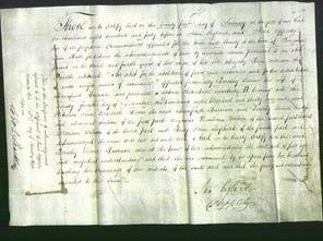 Deed by Married Women - Dorothy Eleana Harrison-Original Ancestry