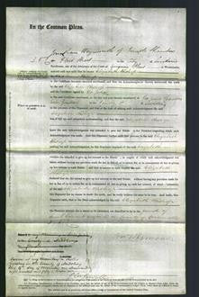 Court of Common Pleas - Elizabeth Bishop-Original Ancestry