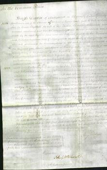 Court of Common Pleas - Elizabeth Jones-Original Ancestry