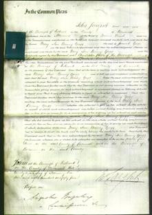 Court of Common Pleas - Mary Ann Bunny Grigg-Original Ancestry