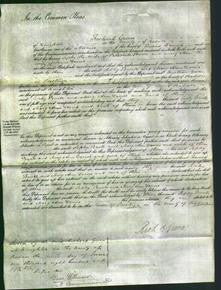 Court of Common Pleas - Sophy Powell and Mary Ann Davies-Original Ancestry