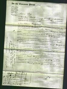 Court of Common Pleas - Sarah Bridgeland-Original Ancestry