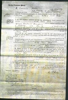 Court of Common Pleas - Jane Bell-Original Ancestry