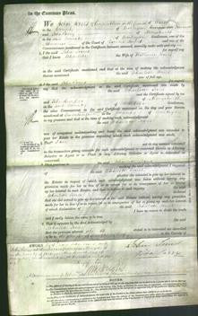 Court of Common Pleas - Charlotte Jones-Original Ancestry