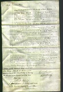 Court of Common Pleas - Martha Lacey-Original Ancestry