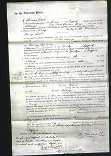 Court of Common Pleas - Mary Barber-Original Ancestry