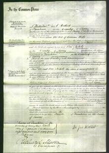 Court of Common Pleas - Ann Wells-Original Ancestry