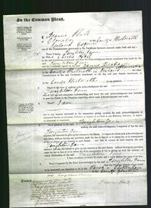 Court of Common Pleas - Twizleton Jane Hall-Original Ancestry