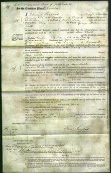 Court of Common Pleas - Ann Tulk-Original Ancestry