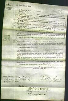 Court of Common Pleas - Elizabeth Tindlay