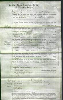 Court of Common Pleas - Emilia Edwards-Original Ancestry