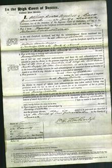 Court of Common Pleas - Fanny Lidbetter-Original Ancestry