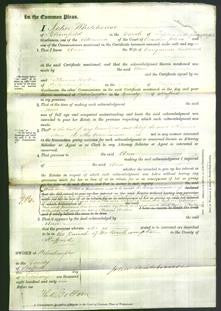 Court of Common Pleas - Ann Rowland-Original Ancestry