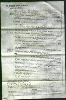 Court of Common Pleas - Elizabeth Ann Brown-Original Ancestry
