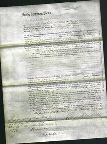 Court of Common Pleas - Elizabeth Georgina Stamp-Original Ancestry