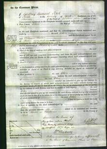 Court of Common Pleas - Ellen White-Original Ancestry