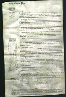 Court of Common Pleas - Catharine Twarnley-Original Ancestry