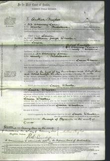 Court of Common Pleas - Louisa Wheeler-Original Ancestry