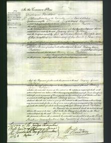 Court of Common Pleas - Mary Ann Robson-Original Ancestry