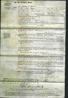 Court of Common Pleas - Margaret Morland-Original Ancestry