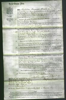 Court of Common Pleas - Mary Ann Benbow-Original Ancestry