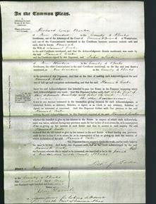 Court of Common Pleas - Hannah Cooke-Original Ancestry