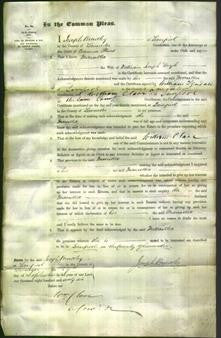 Court of Common Pleas - Marcella Doyle-Original Ancestry