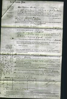 Court of Common Pleas - Abigail Turner-Original Ancestry