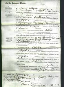 Court of Common Pleas - Sophia Hollamby-Original Ancestry