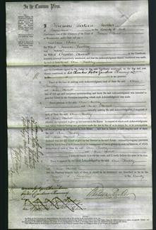 Court of Common Pleas - Ann Hockley and Jane Murrell-Original Ancestry