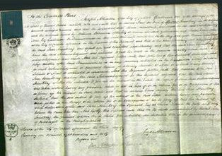 Court of Common Pleas - Jane Armstrong-Original Ancestry