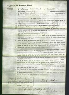 Court of Common Pleas - Elizabeth Thompson-Original Ancestry