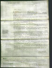 Court of Common Pleas - Jane Jackson-Original Ancestry