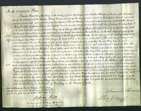 Court of Common Pleas - Mary Field-Original Ancestry